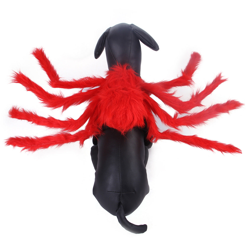 Red spider pet costume on a dog