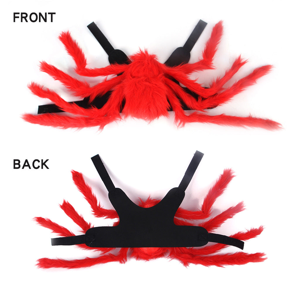 Spider pet costume front and back view