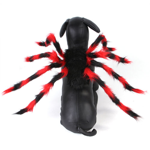 Dog wearing a red and black spider costume, back view