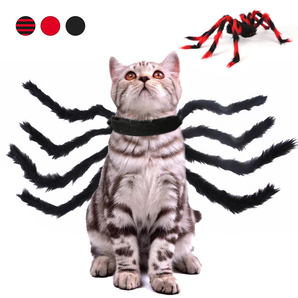 Cat wearing a black and red spider Halloween costume