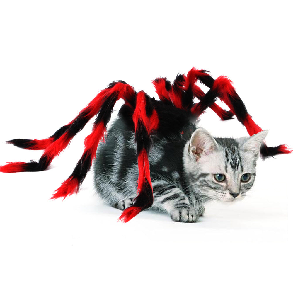 Cat in a red and black spider costume