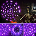 Purple LED spider web lights next to a skeleton, Halloween decoration